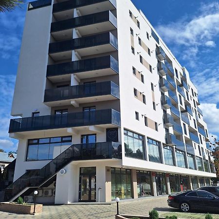 Deluxe Apartments On G Enescu Blvd Near Stefan Cel Mare University 苏恰瓦 外观 照片